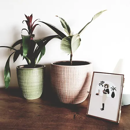 Apartamento Modern Boho Split